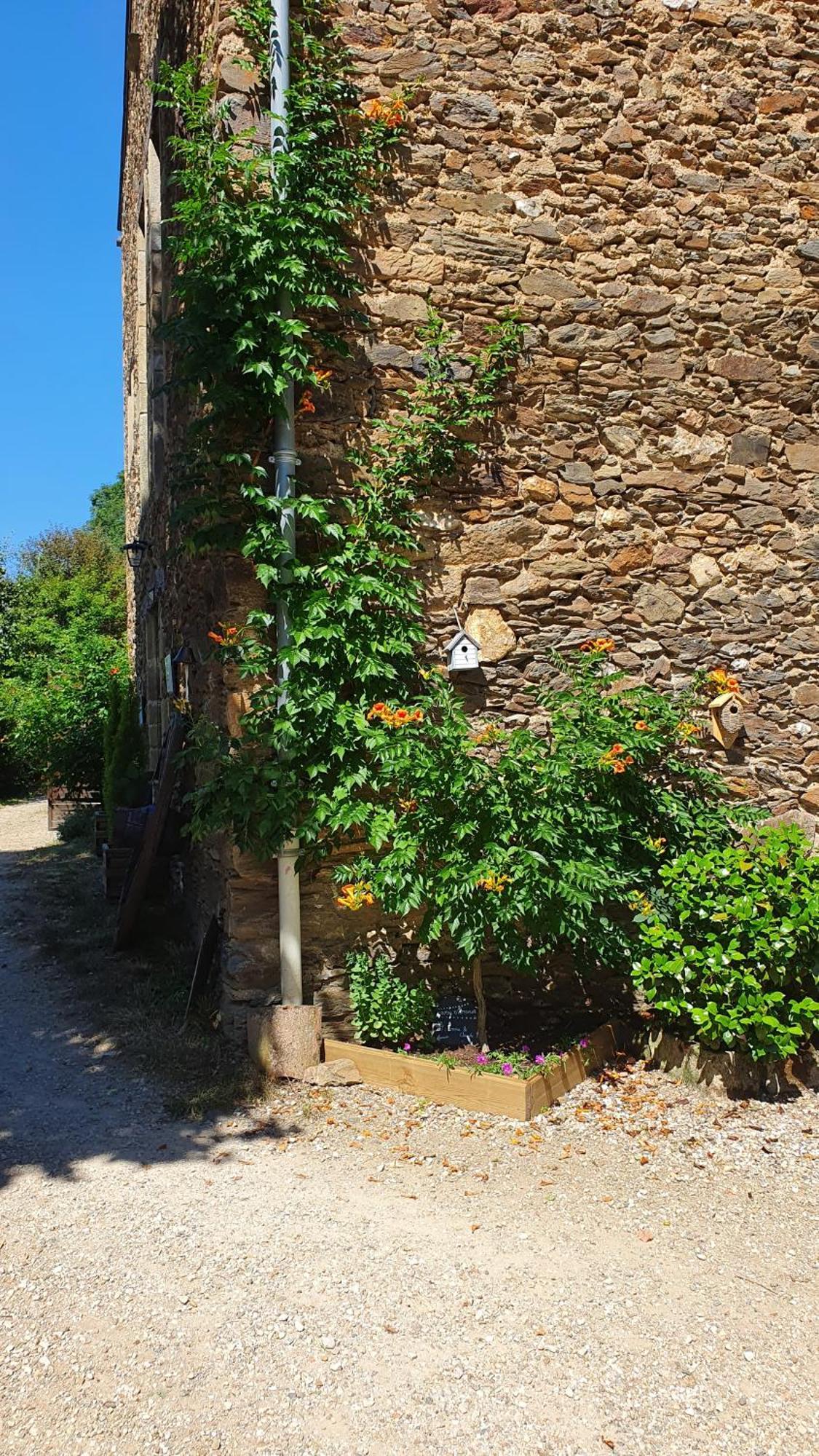 La Ferme Des Andes - Gite L'Atelier Quins Exteriör bild