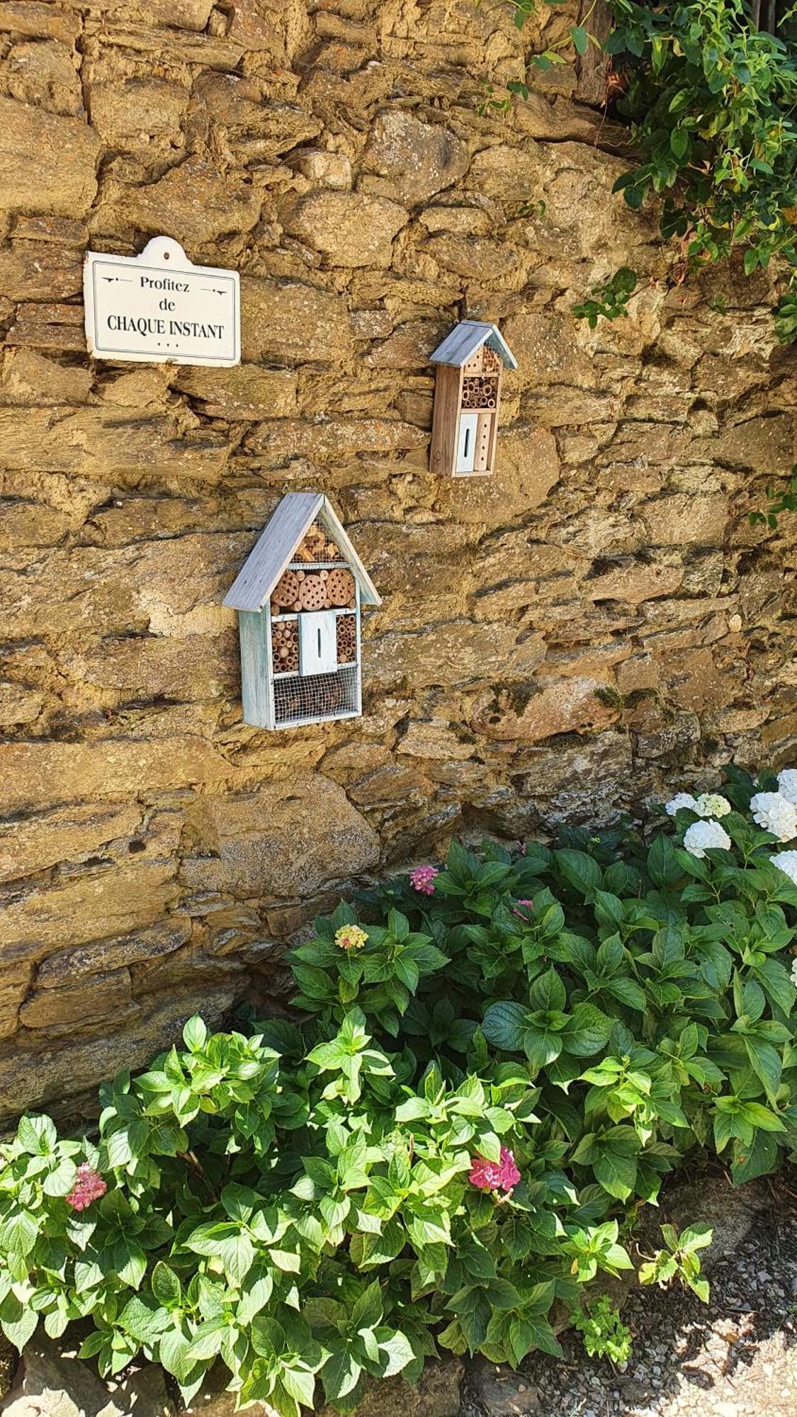 La Ferme Des Andes - Gite L'Atelier Quins Exteriör bild