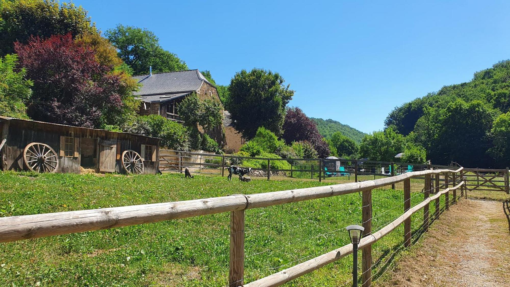 La Ferme Des Andes - Gite L'Atelier Quins Exteriör bild