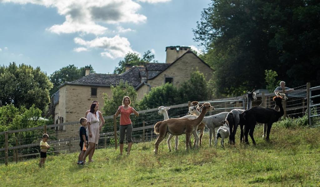 La Ferme Des Andes - Gite L'Atelier Quins Exteriör bild