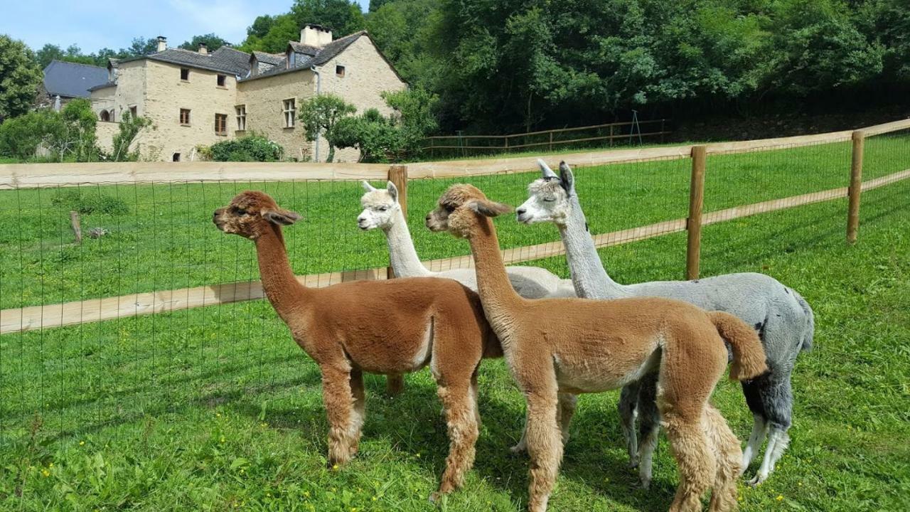 La Ferme Des Andes - Gite L'Atelier Quins Exteriör bild