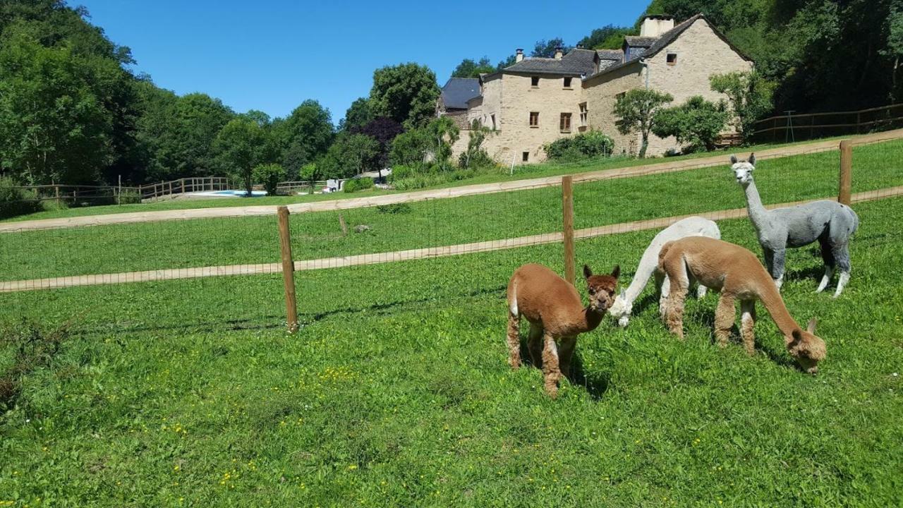 La Ferme Des Andes - Gite L'Atelier Quins Exteriör bild