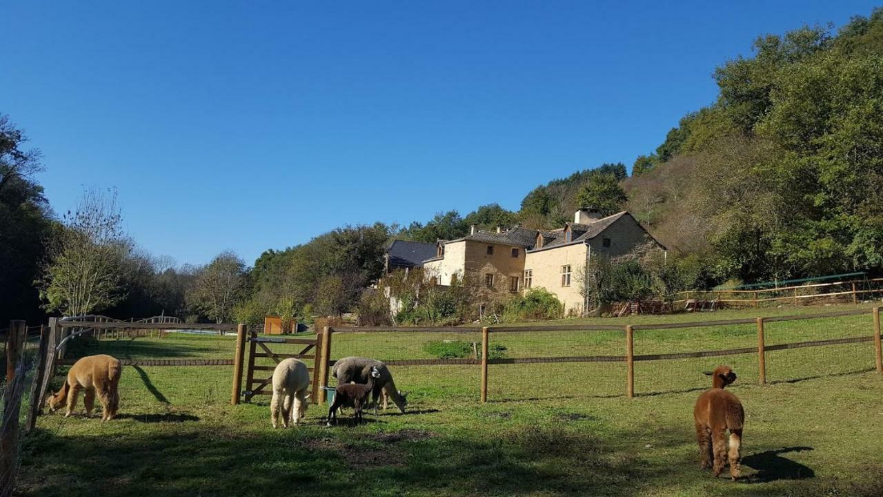 La Ferme Des Andes - Gite L'Atelier Quins Exteriör bild